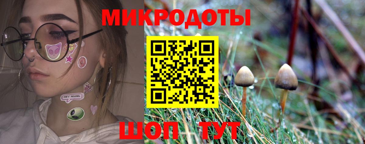 Псилоцибиновые грибы Cubensis Ишим