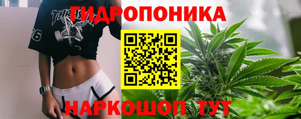 Канабис гибрид Ишим